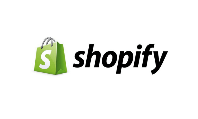 SHOPIFY INTERVIEW- BY DAYNA WINTER